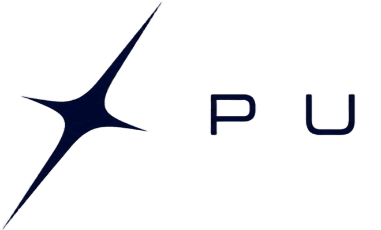 Pulzare Icon